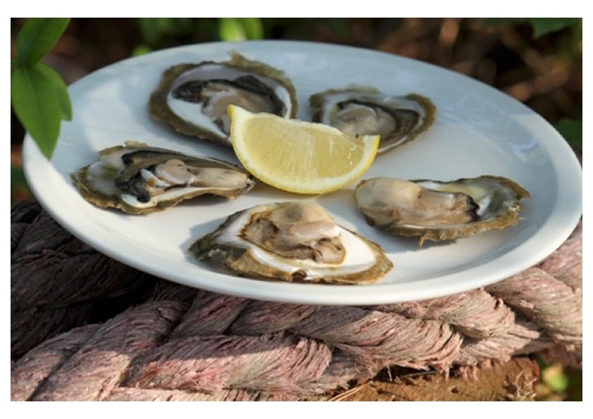 Fresh oysters served with lemon on a plate during a tasting experience in Ston Bay, Croatia