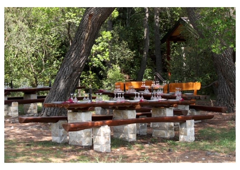 Outdoor tasting area with wooden tables set among pine trees on Ostrog peninsula, Ston Bay, Croatia